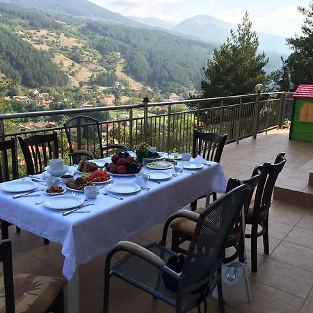 Mala Planina Къща за гости