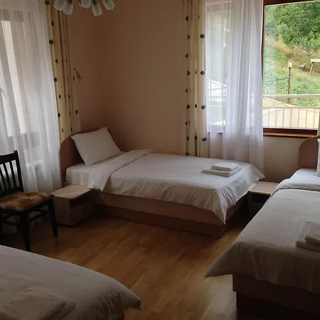 Guest house Mala Planina *